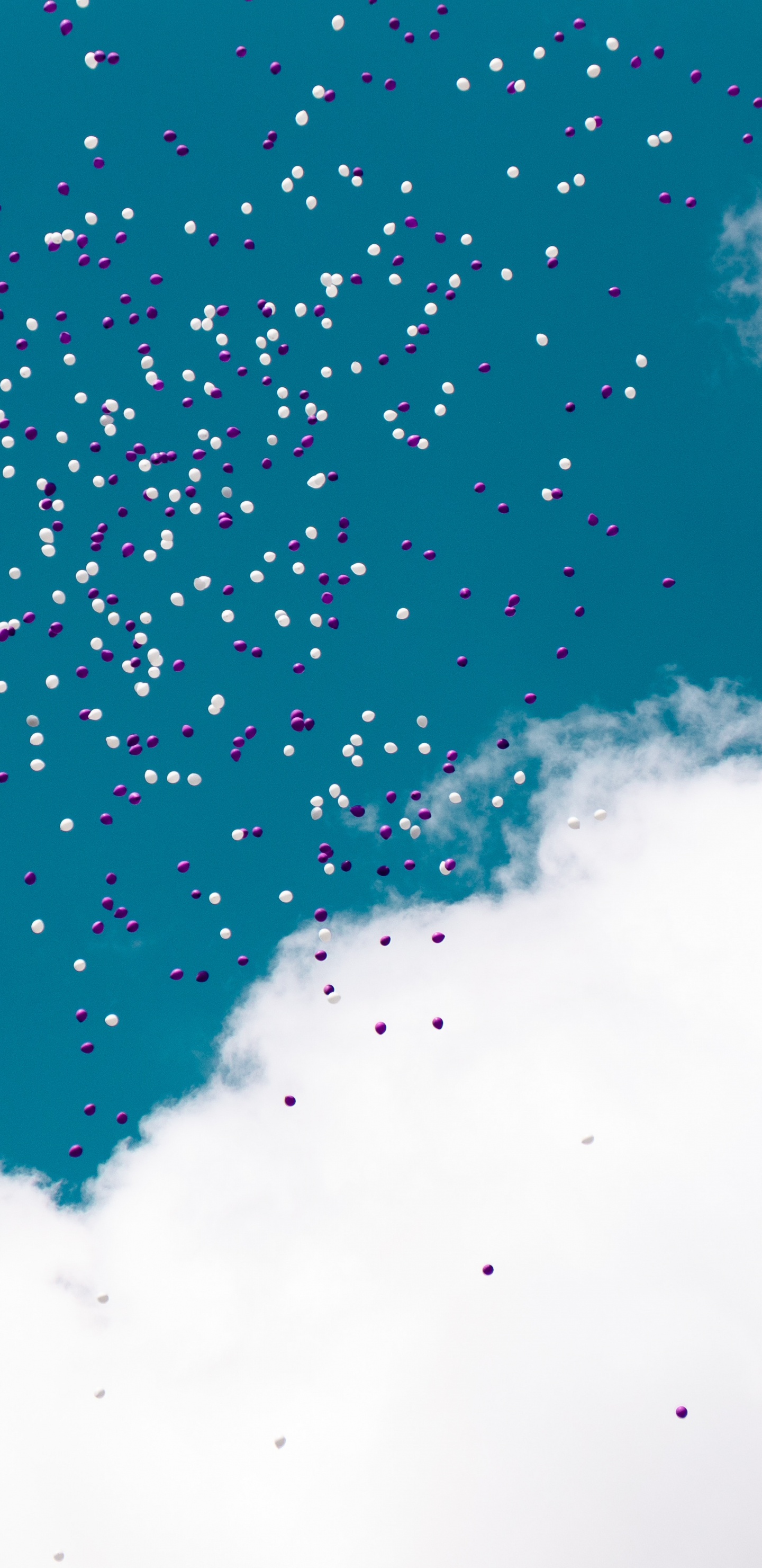 Nubes Blancas y Cielo Azul. Wallpaper in 1440x2960 Resolution