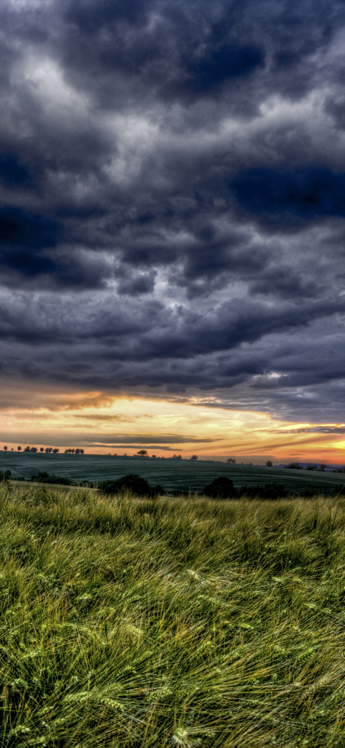 Green Grass Field Under Cloudy Sky During Sunset. Wallpaper in 1125x2436 Resolution