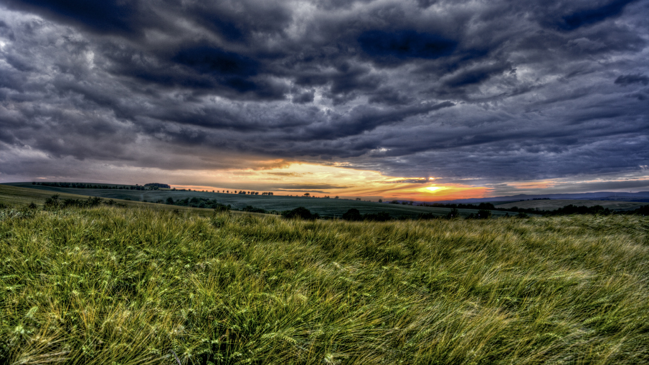 Green Grass Field Under Cloudy Sky During Sunset. Wallpaper in 1280x720 Resolution