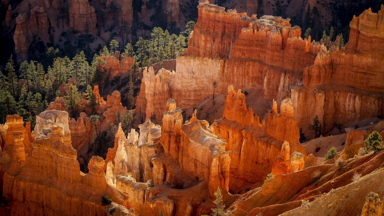 Brown Rock Formation With Green Trees During Daytime. Wallpaper in 1280x720 Resolution