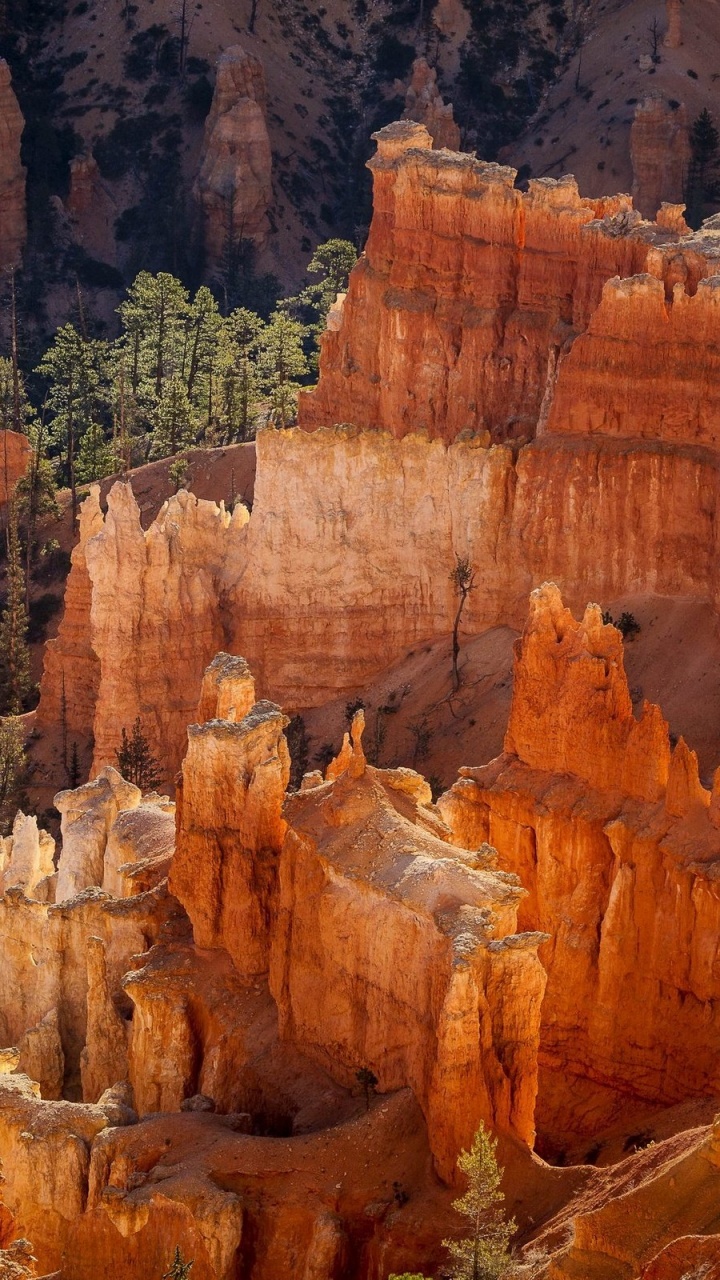 Brown Rock Formation With Green Trees During Daytime. Wallpaper in 720x1280 Resolution