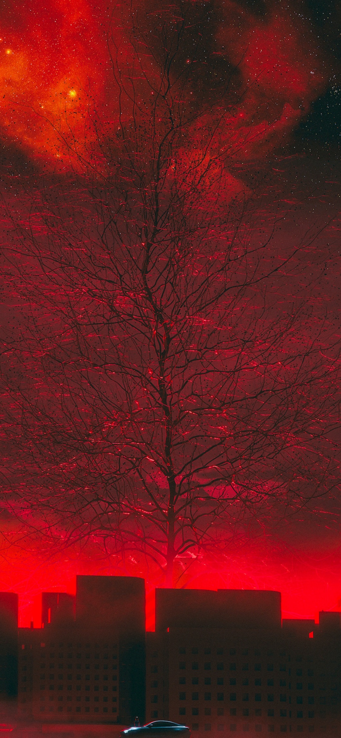 Rote Und Braune Bäume Während Der Nacht. Wallpaper in 1125x2436 Resolution