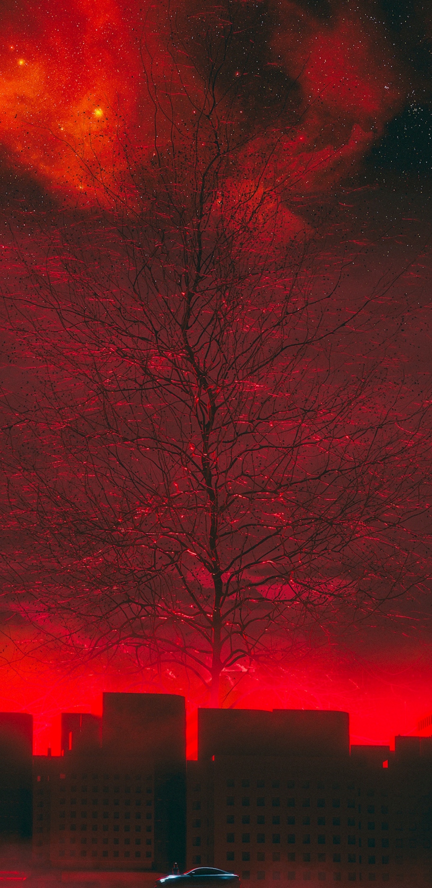 Arbres Rouges et Bruns Pendant la Nuit. Wallpaper in 1440x2960 Resolution