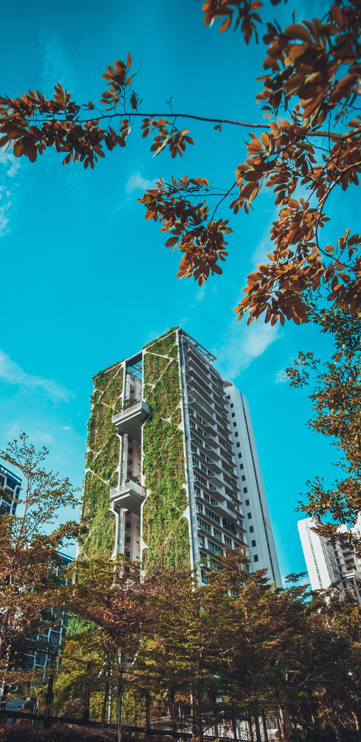 Brown and White Concrete Building Under Blue Sky During Daytime. Wallpaper in 1440x2960 Resolution