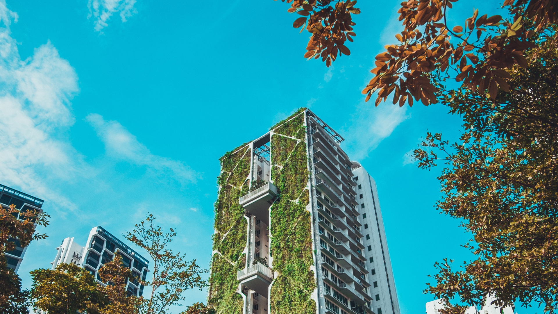Brown and White Concrete Building Under Blue Sky During Daytime. Wallpaper in 1920x1080 Resolution