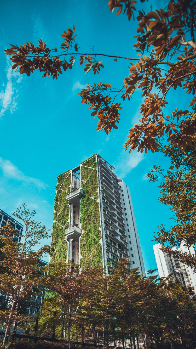 Brown and White Concrete Building Under Blue Sky During Daytime. Wallpaper in 750x1334 Resolution