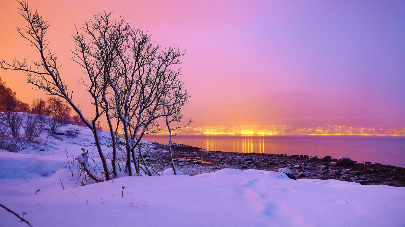 Arbres Nus Sur Sol Couvert de Neige Pendant le Coucher du Soleil. Wallpaper in 1366x768 Resolution