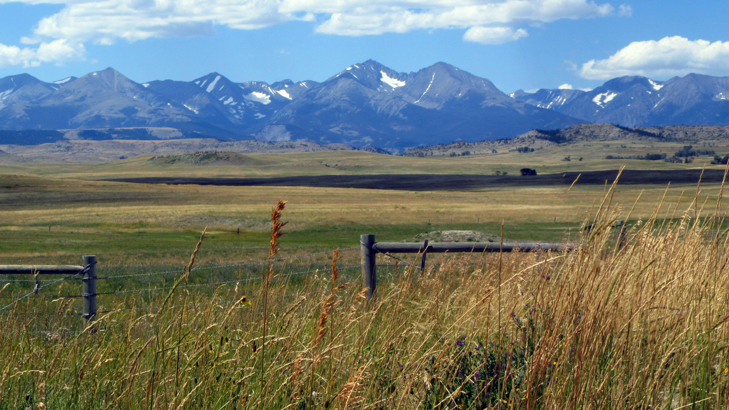 Brown Wooden Fence on Green Grass Field Near Mountains During Daytime. Wallpaper in 2560x1440 Resolution