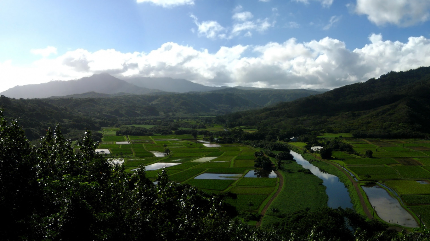 Campo de Hierba Verde y Árboles Bajo un Cielo Azul Durante el Día. Wallpaper in 1366x768 Resolution