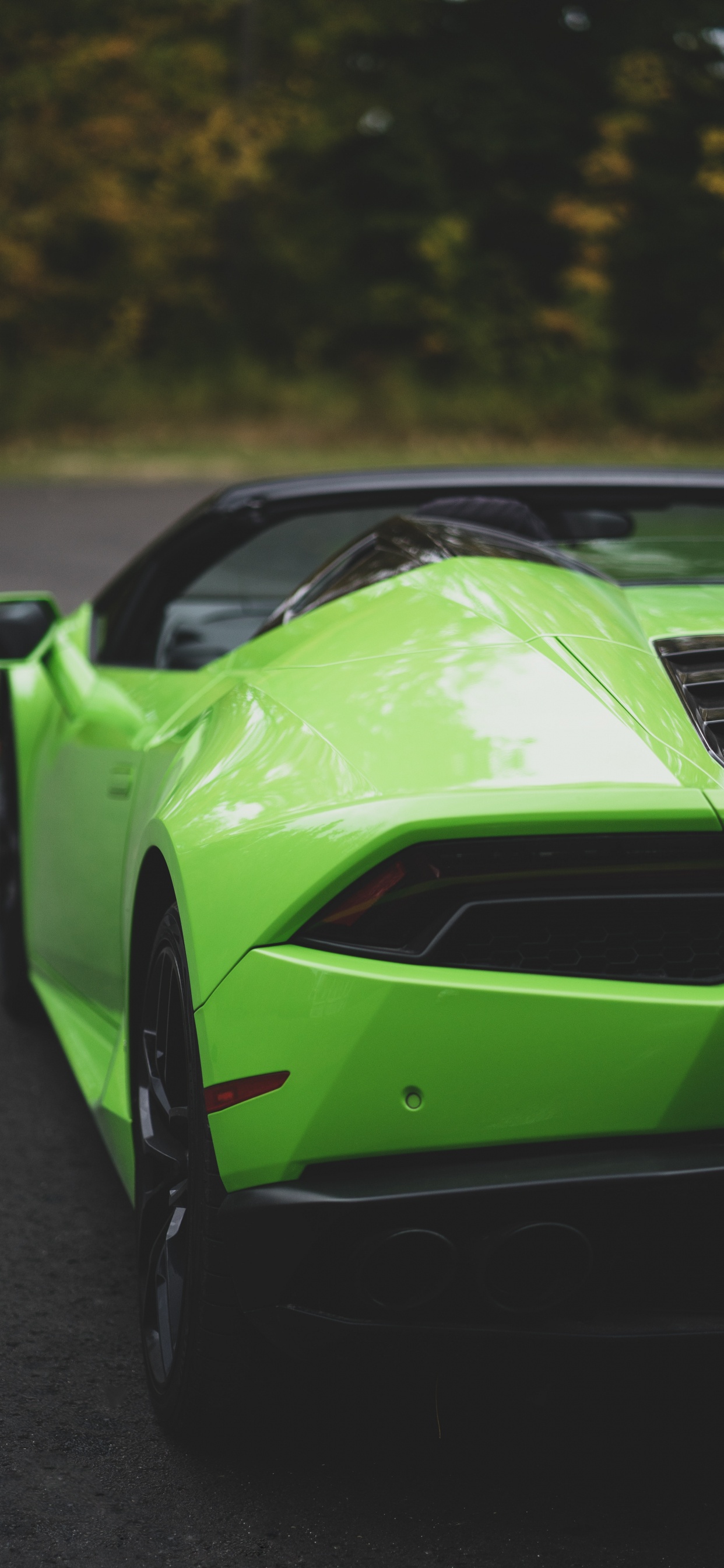 Lamborghini Aventador Verte Sur Route Pendant la Journée. Wallpaper in 1242x2688 Resolution