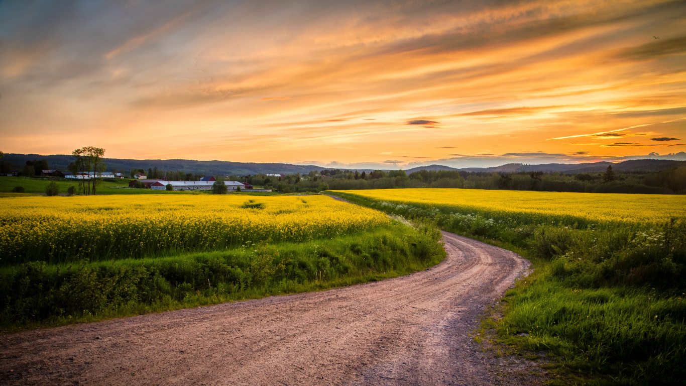 Green Grass Field Under Cloudy Sky During Daytime. Wallpaper in 1366x768 Resolution