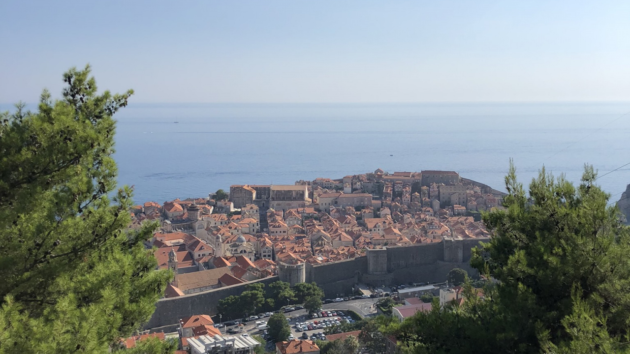 Mount Scenery, Science, Biology, Vegetation, Neighbourhood. Wallpaper in 1280x720 Resolution