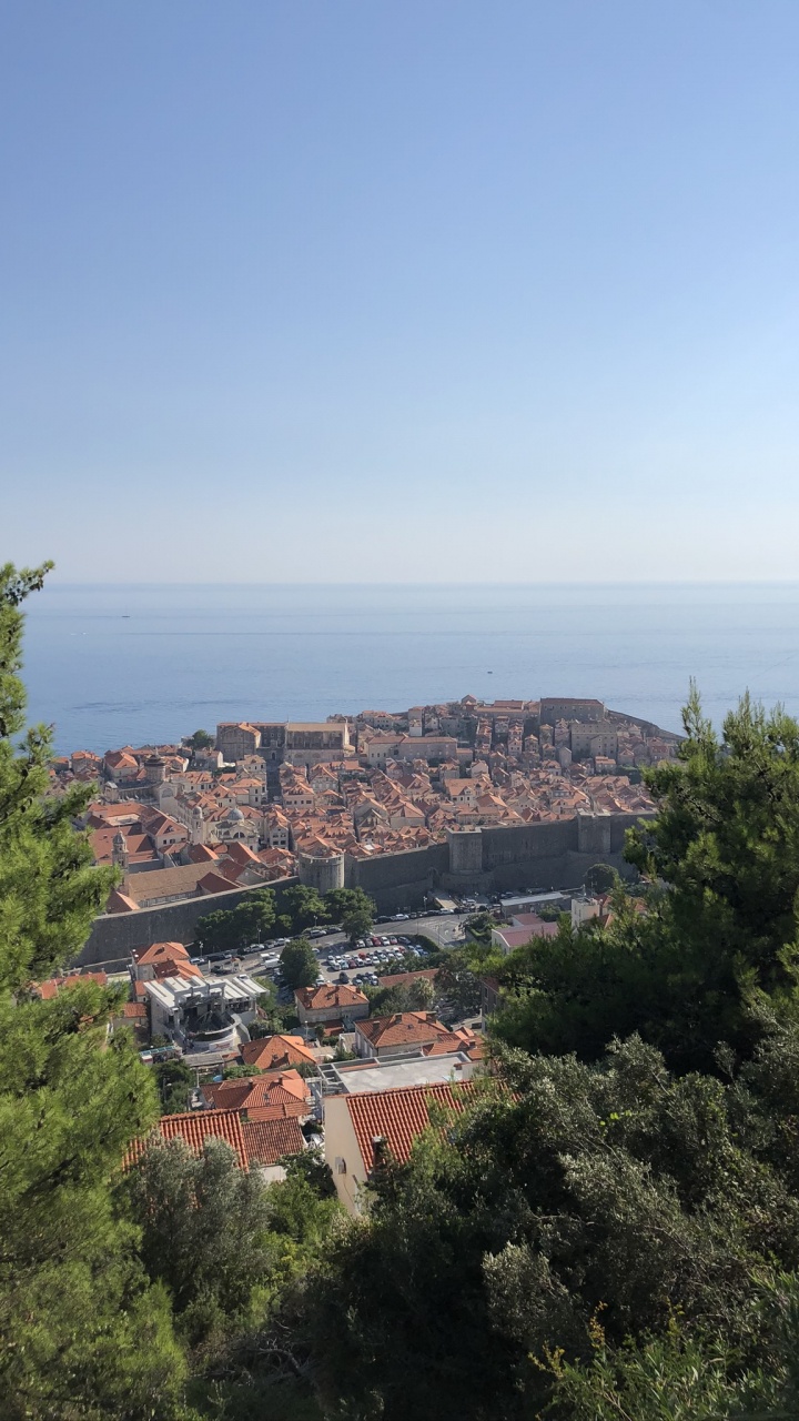 Mount Scenery, Science, Biology, Vegetation, Neighbourhood. Wallpaper in 720x1280 Resolution