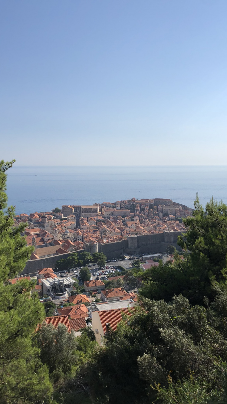 Mount Scenery, Science, Biology, Vegetation, Neighbourhood. Wallpaper in 750x1334 Resolution