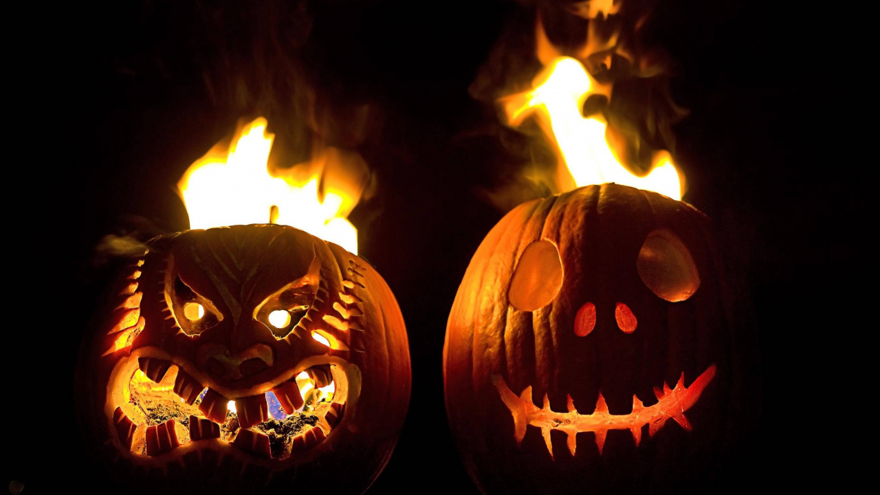 Halloween, Pumpkin Faces, Pumpkin, Plant, Jack o Lantern. Wallpaper in 1280x720 Resolution