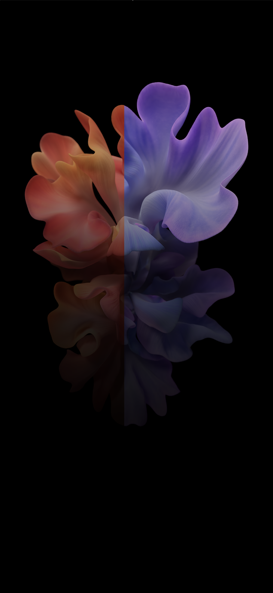 IPhone, IOS 14, IOS 14 DUAL, Apple, 256 Go. Wallpaper in 1125x2436 Resolution