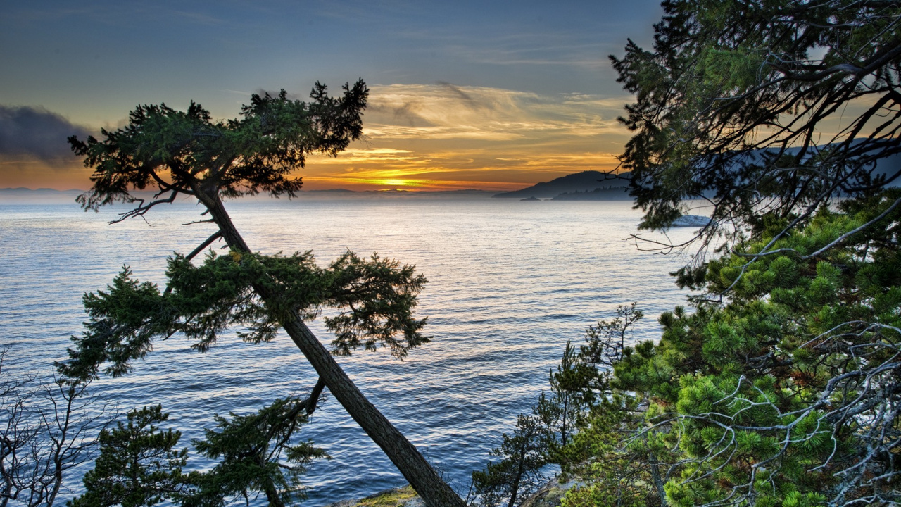岸边, 大海, 海岸, 海洋, 晚上 壁纸 1280x720 允许
