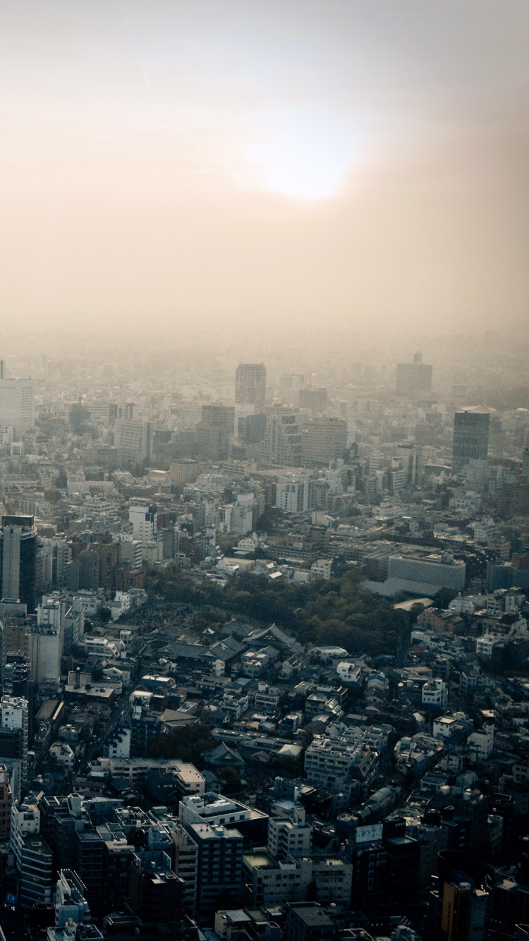 Aerial View of City Buildings During Daytime. Wallpaper in 750x1334 Resolution