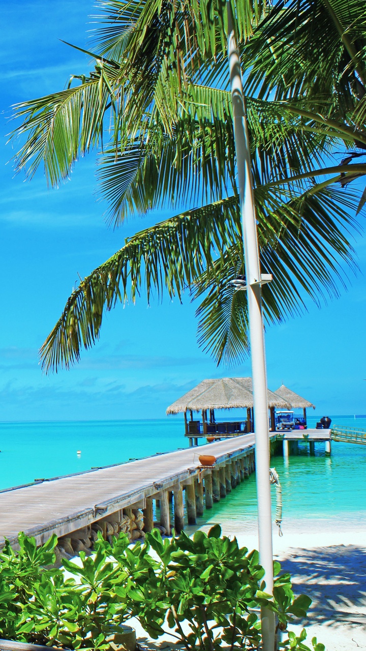 岸边, 大海, 马尔代夫, 度假村, 热带地区 壁纸 720x1280 允许