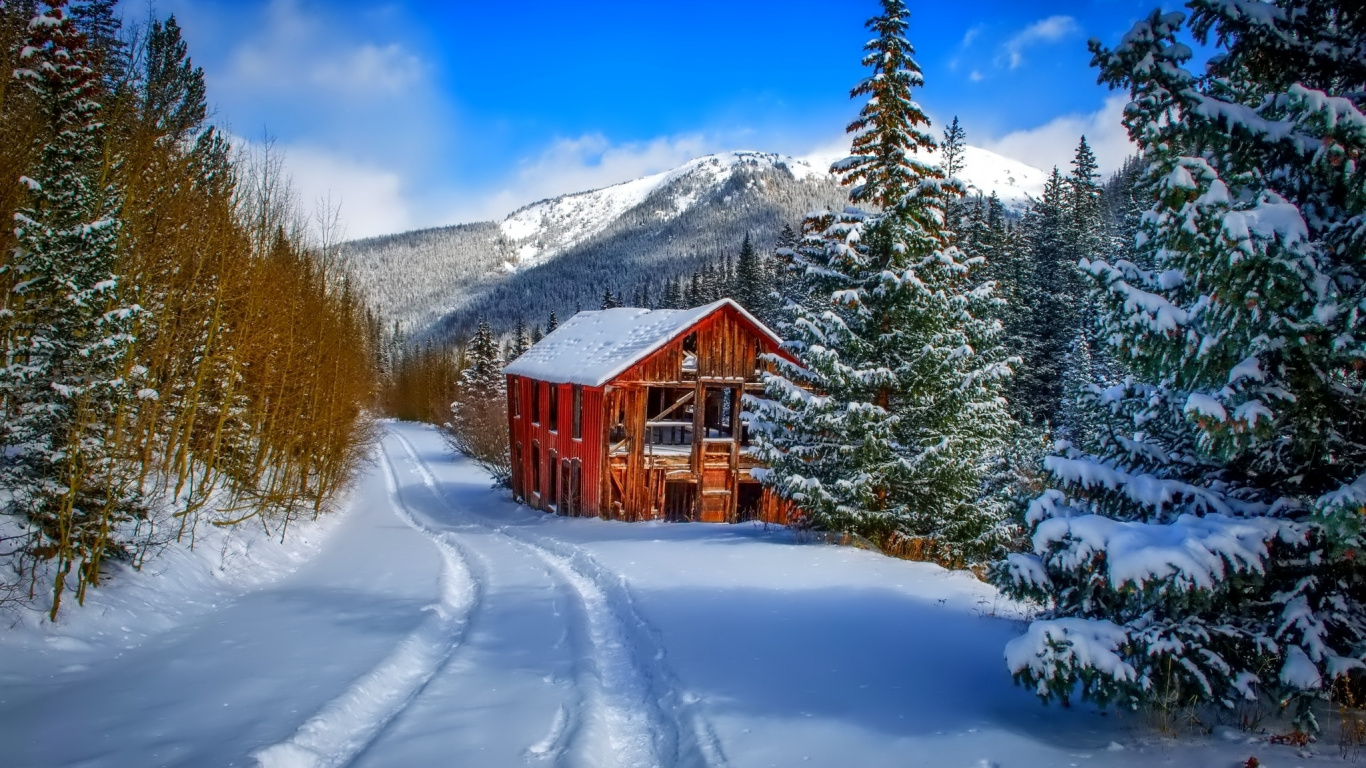 Casa de Madera Marrón Sobre Suelo Cubierto de Nieve Cerca de Árboles Bajo un Cielo Azul Durante el Día. Wallpaper in 1366x768 Resolution