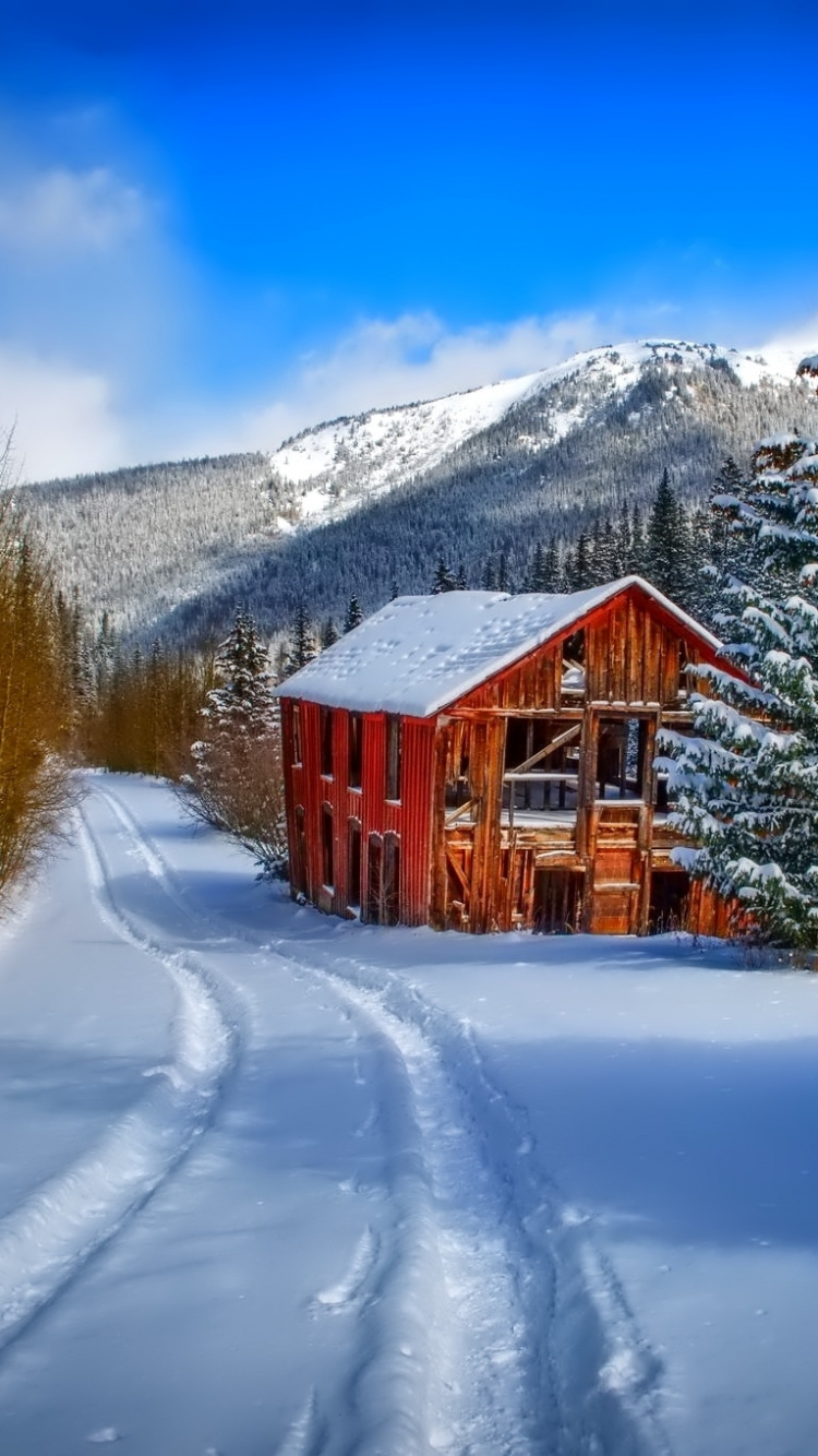 Casa de Madera Marrón Sobre Suelo Cubierto de Nieve Cerca de Árboles Bajo un Cielo Azul Durante el Día. Wallpaper in 750x1334 Resolution