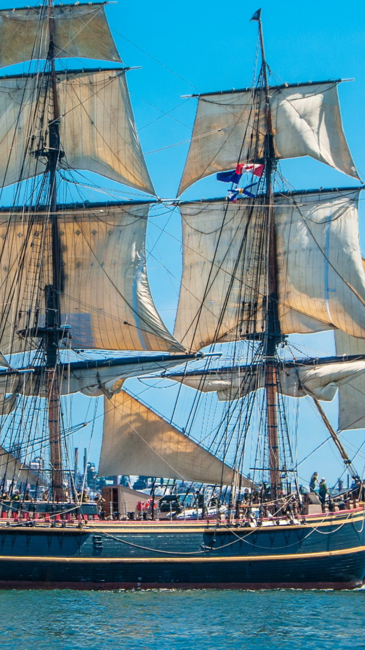 Brown and White Sail Ship on Water During Daytime. Wallpaper in 750x1334 Resolution