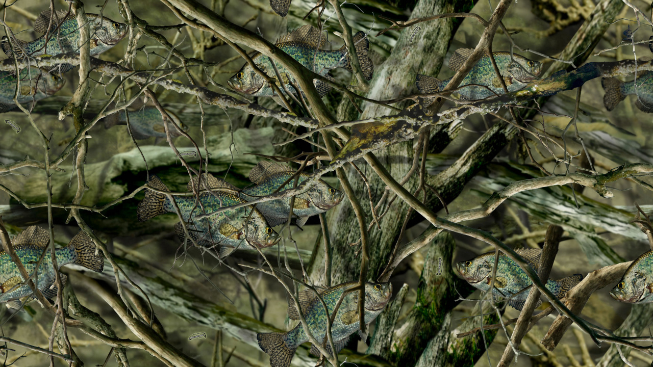 Green and Black Snake on Brown Tree Branch. Wallpaper in 1280x720 Resolution