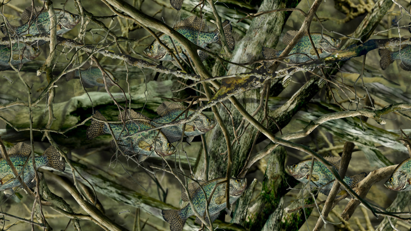 Green and Black Snake on Brown Tree Branch. Wallpaper in 1366x768 Resolution