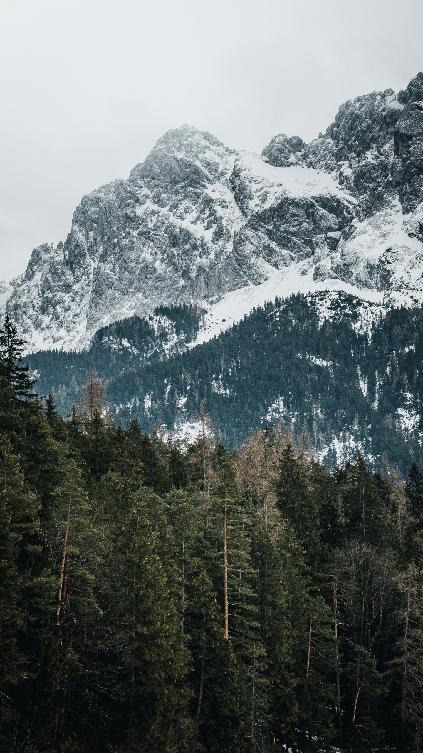 Eibsee, Bergigen Landschaftsformen, Bergkette, Hochland, Natur. Wallpaper in 1440x2560 Resolution