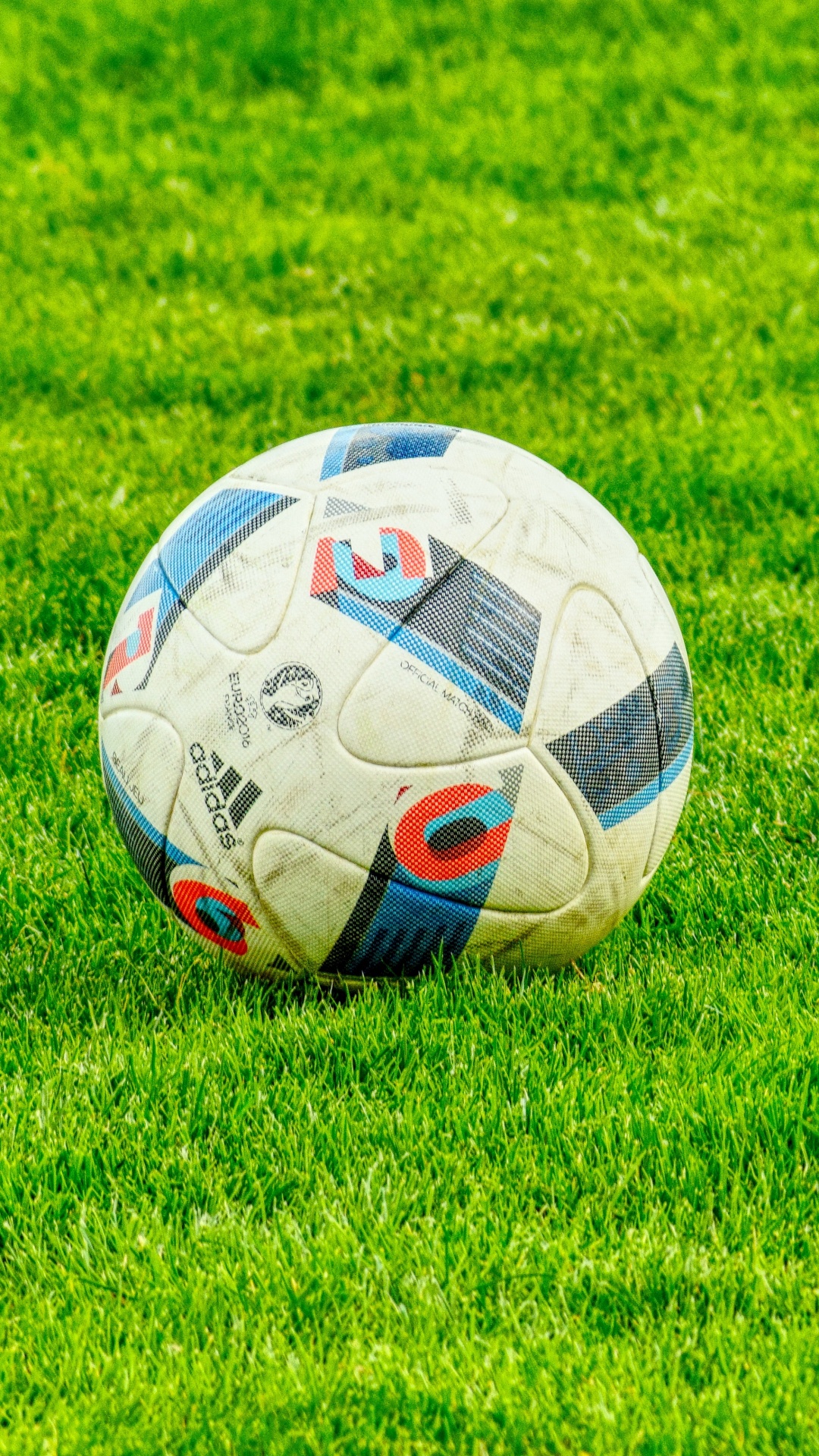 White Soccer Ball on Green Grass Field During Daytime. Wallpaper in 1080x1920 Resolution