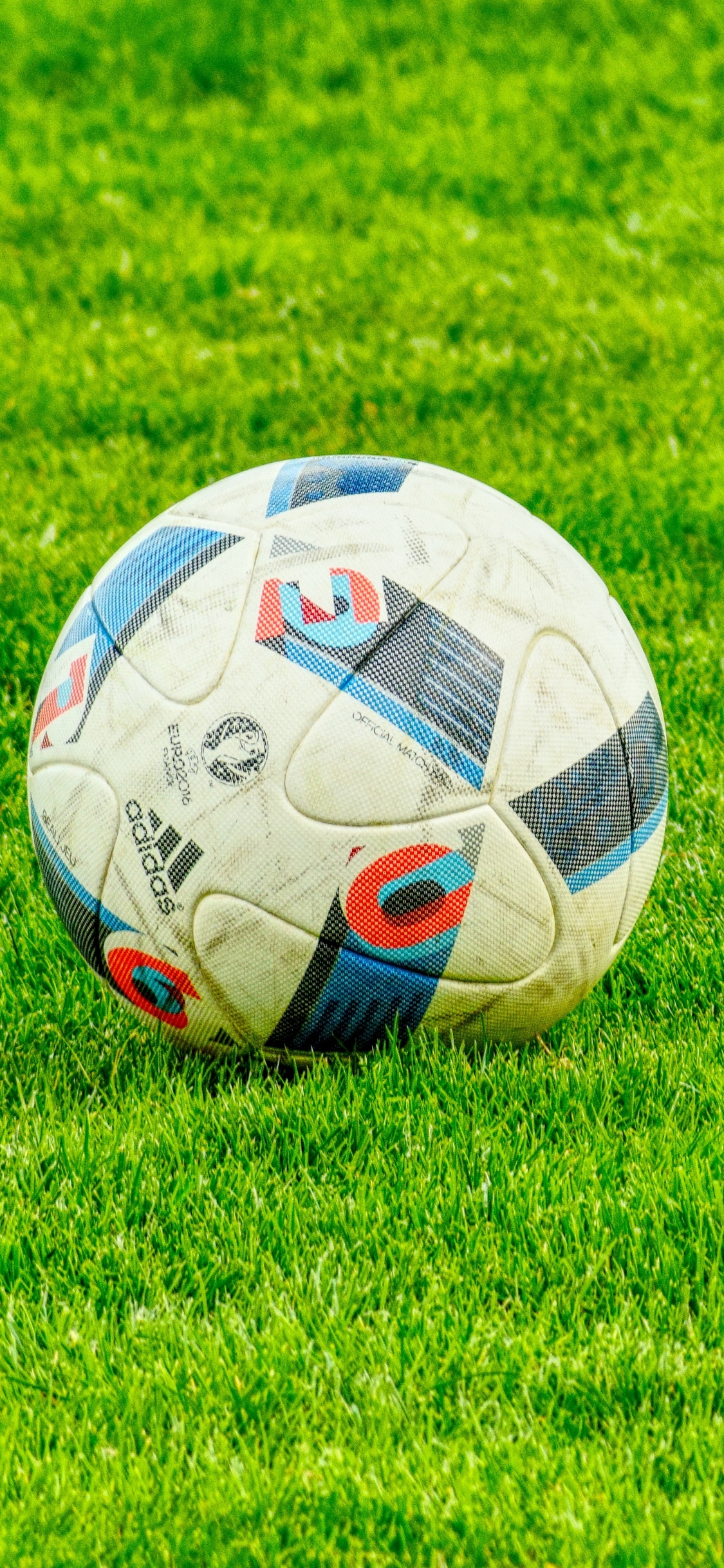White Soccer Ball on Green Grass Field During Daytime. Wallpaper in 1125x2436 Resolution