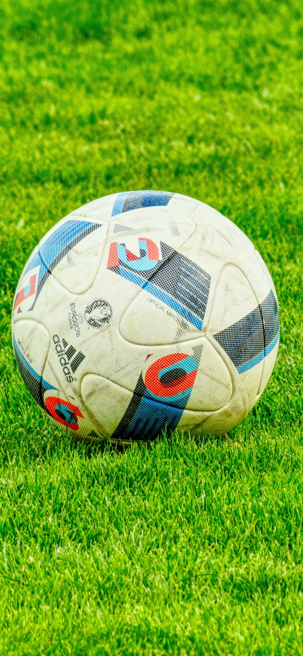 White Soccer Ball on Green Grass Field During Daytime. Wallpaper in 1242x2688 Resolution