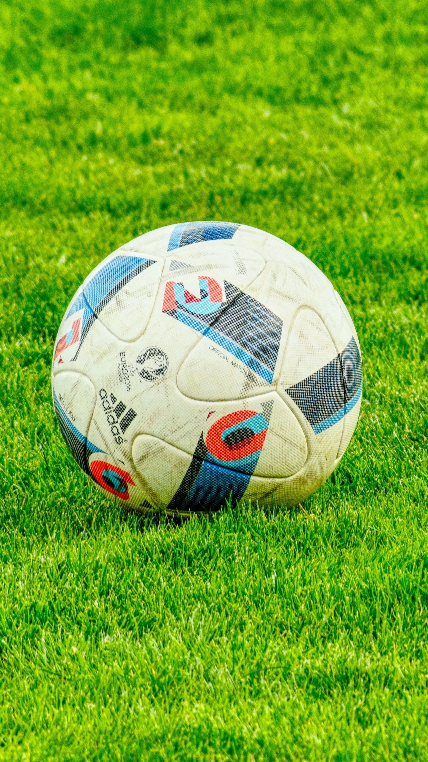 White Soccer Ball on Green Grass Field During Daytime. Wallpaper in 1440x2560 Resolution