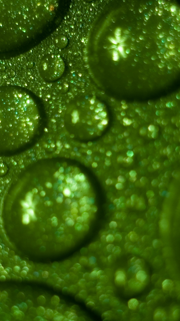 Gouttes D'eau Sur la Surface du Verre. Wallpaper in 750x1334 Resolution