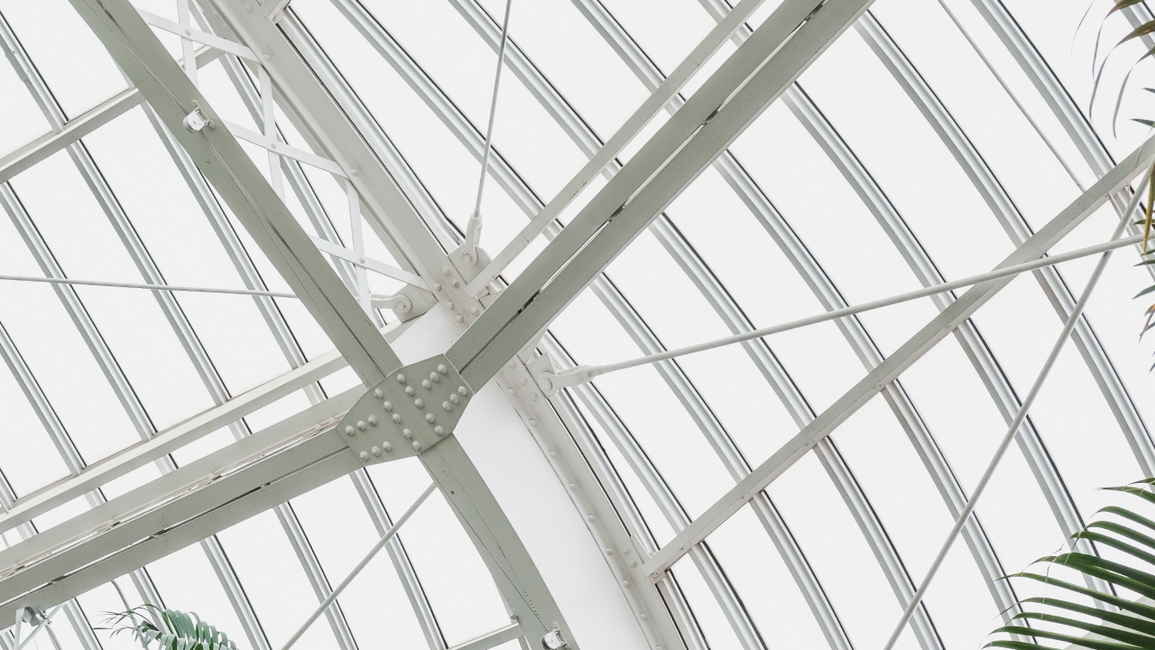 Grüne Palme im Weißen Metallrahmen. Wallpaper in 1280x720 Resolution