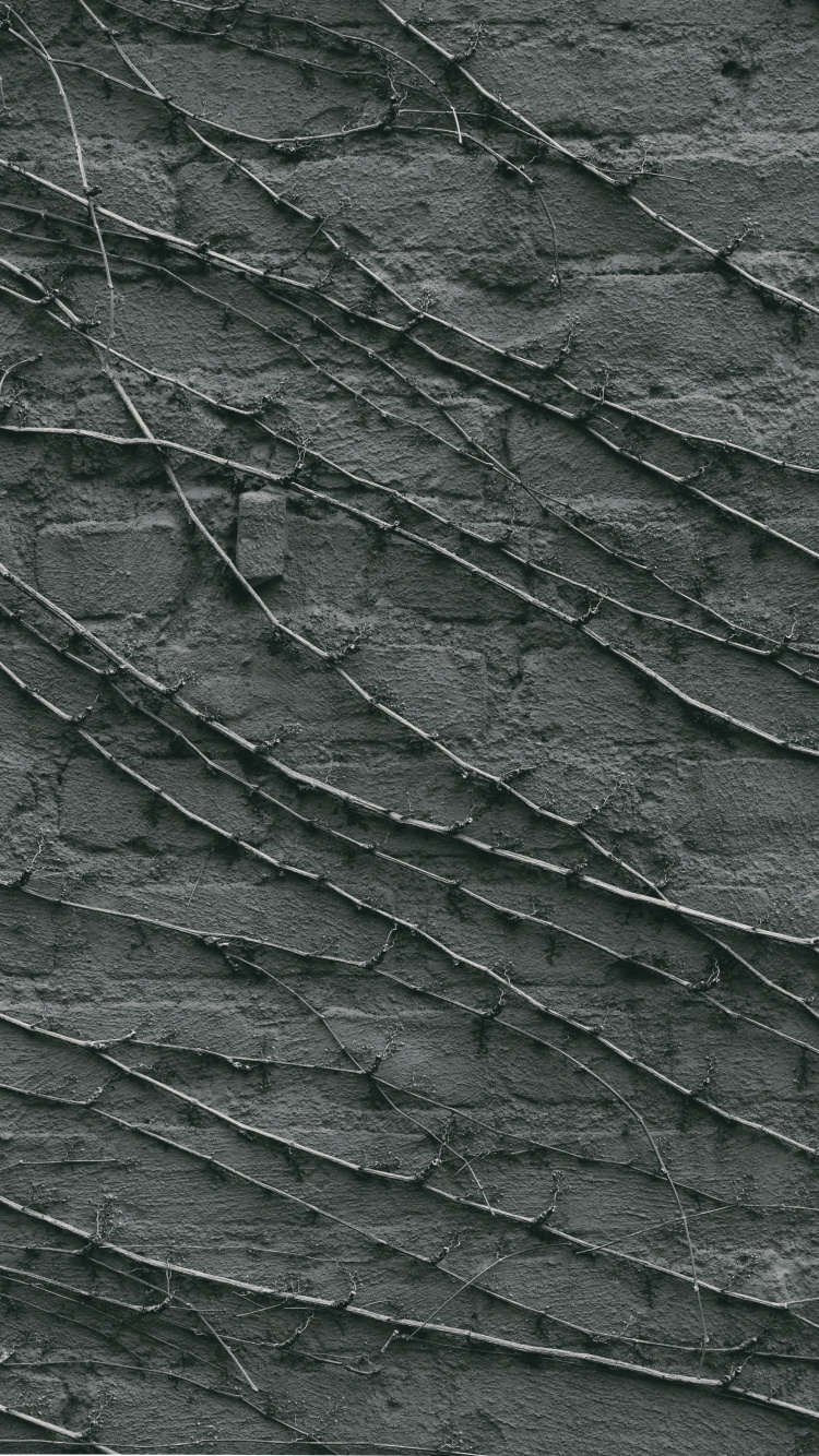 Green and Black Leaf Plant. Wallpaper in 750x1334 Resolution