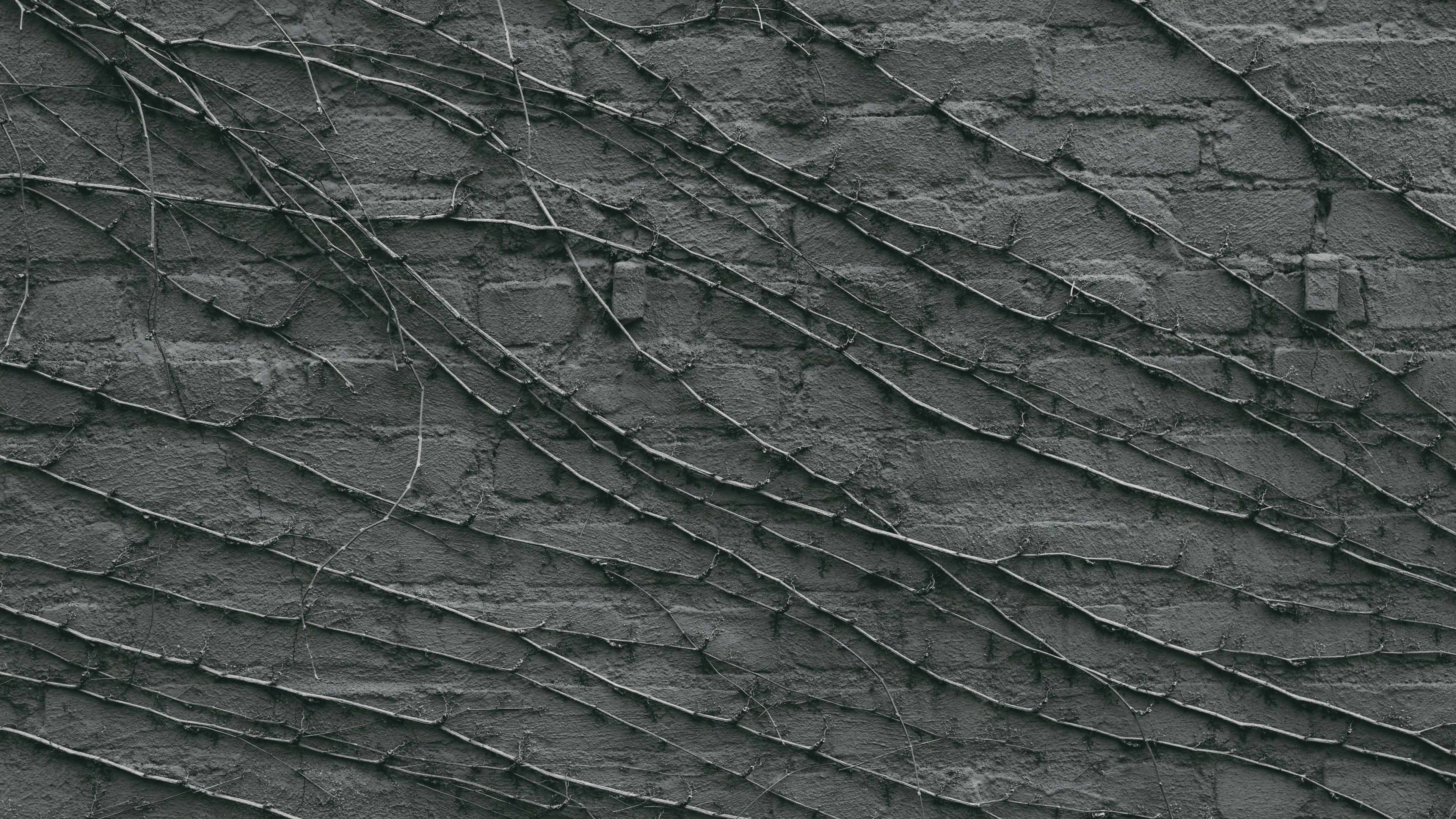 黑色的, 黑色和白色的, 纹理, 关闭了 壁纸 3840x2160 允许