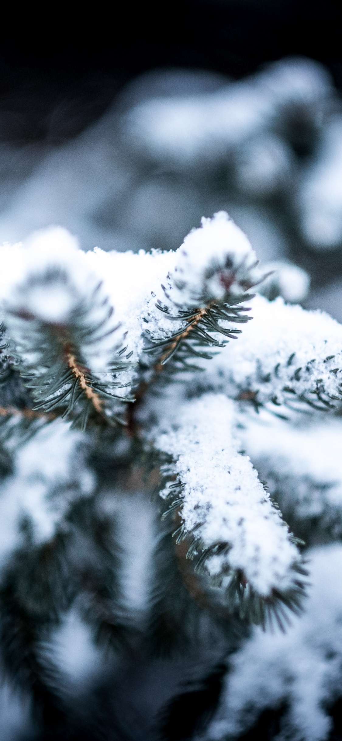 Invierno, Scentsy Mejor en la Nieve, Nieve, Buena, el Resplandor de la Navidad. Wallpaper in 1125x2436 Resolution