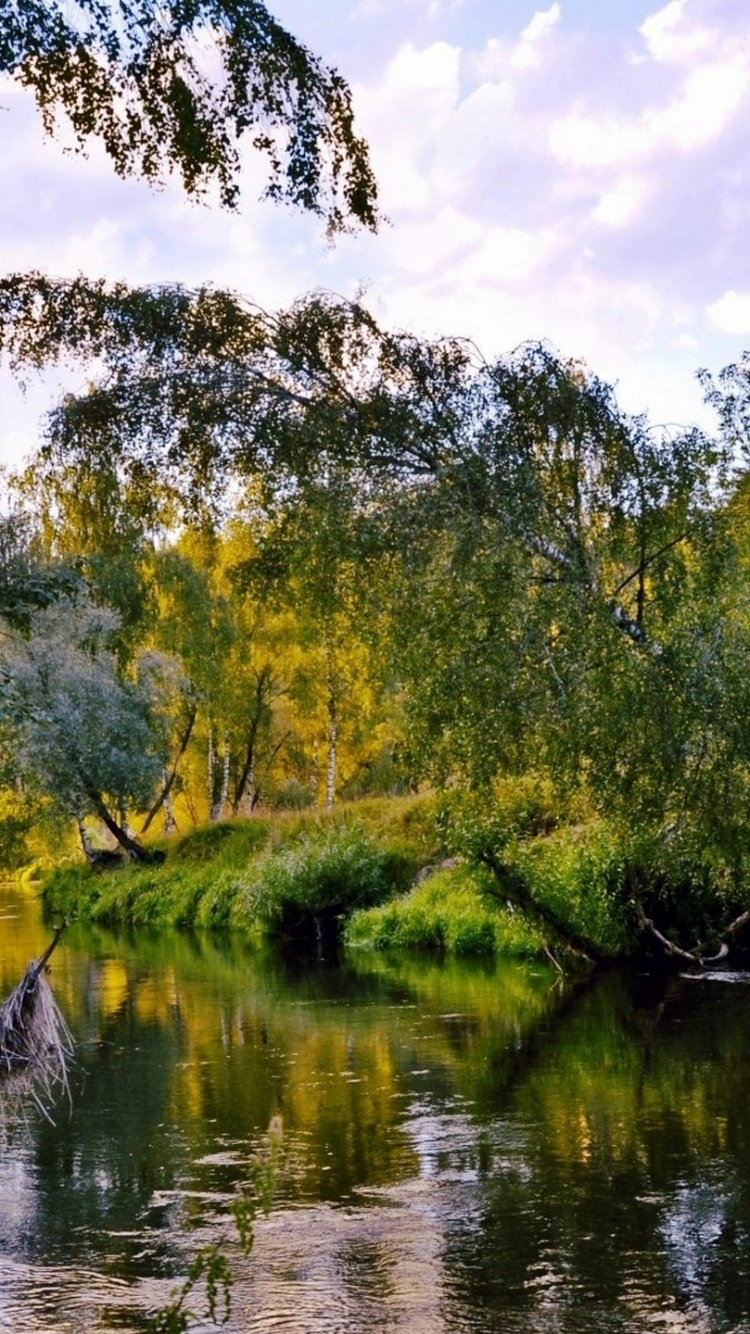 Green Trees Beside River Under White Clouds and Blue Sky During Daytime. Wallpaper in 750x1334 Resolution