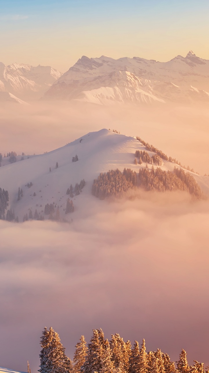 Green Trees on Mountain During Daytime. Wallpaper in 720x1280 Resolution