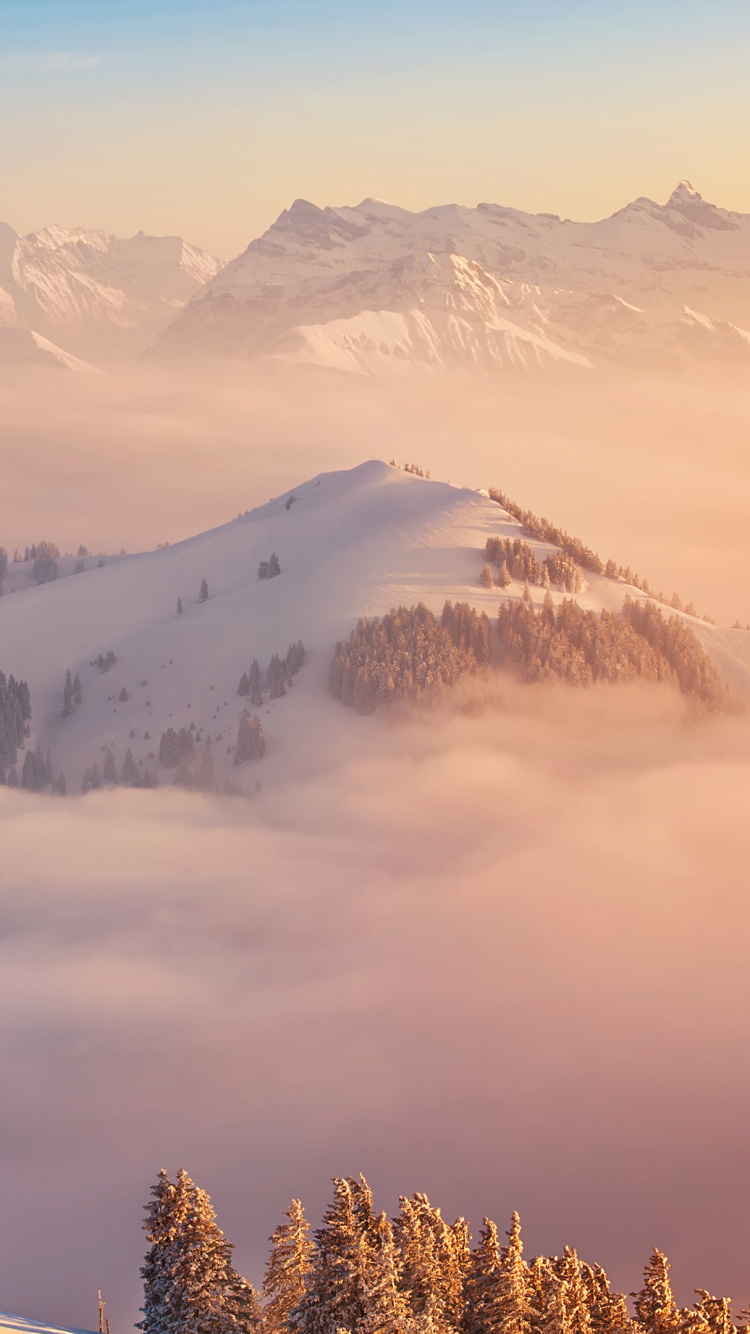 Green Trees on Mountain During Daytime. Wallpaper in 750x1334 Resolution