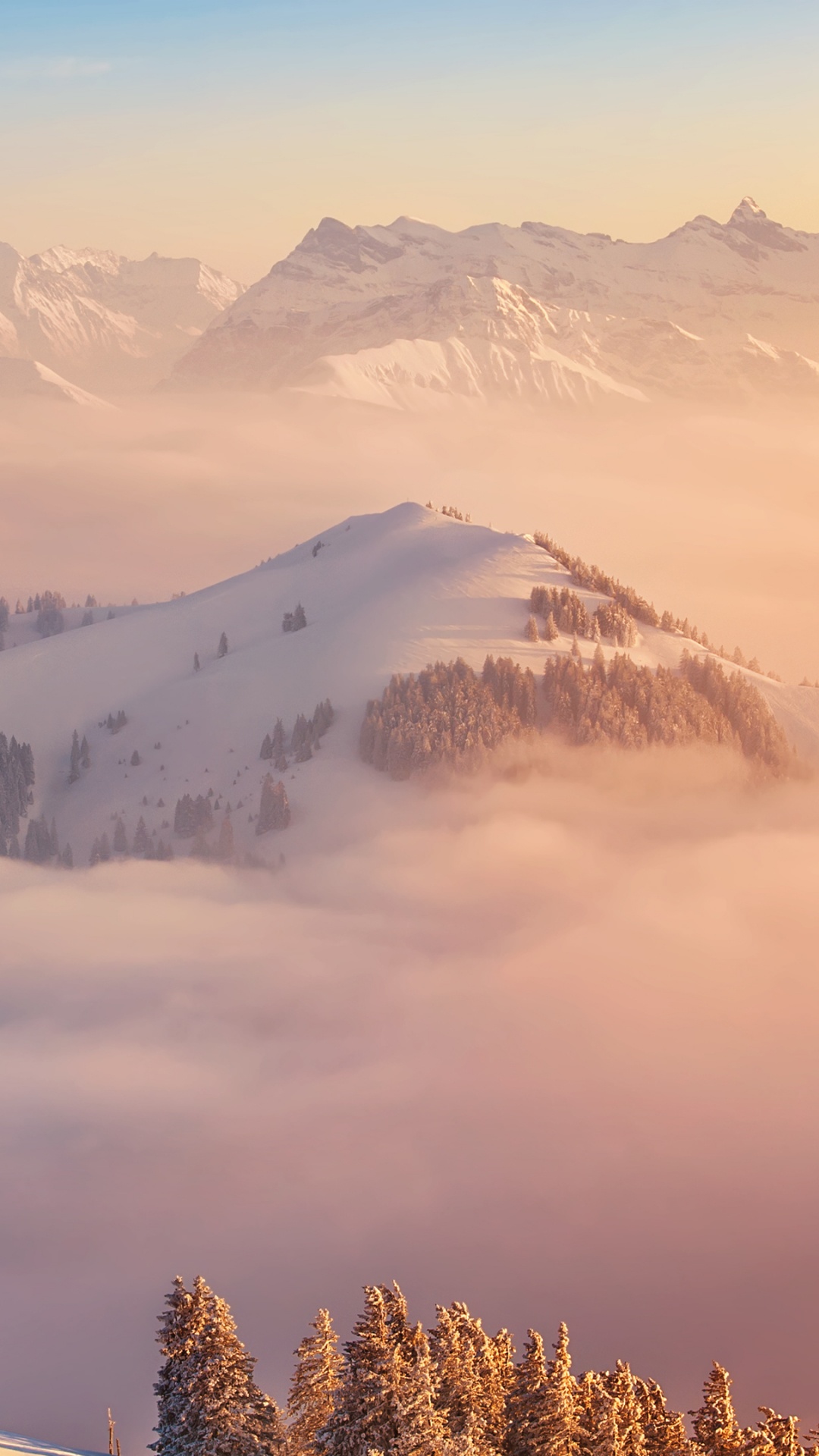 Árboles Verdes en la Montaña Durante el Día. Wallpaper in 1080x1920 Resolution