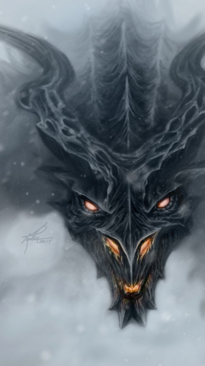 Schwarz-weißer Vogel Auf Weißem Schnee. Wallpaper in 720x1280 Resolution