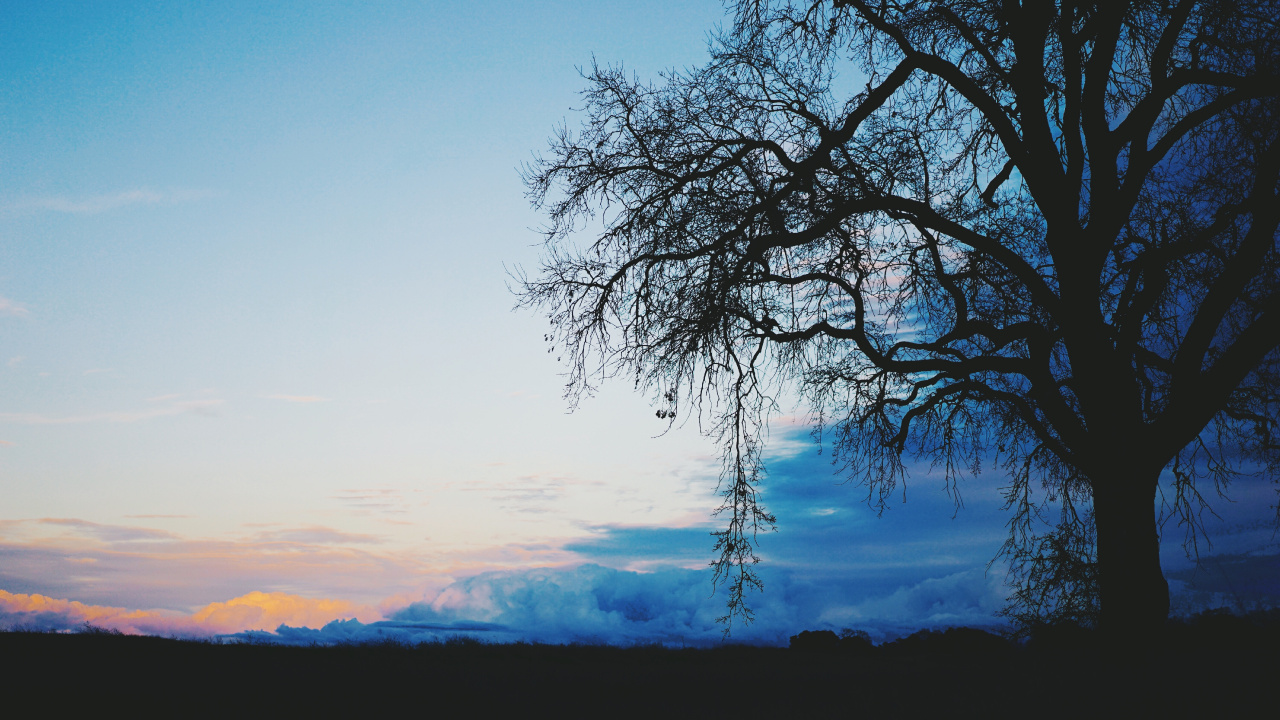 Blau, Baum, Natur, Naturlandschaft, Cloud. Wallpaper in 1280x720 Resolution