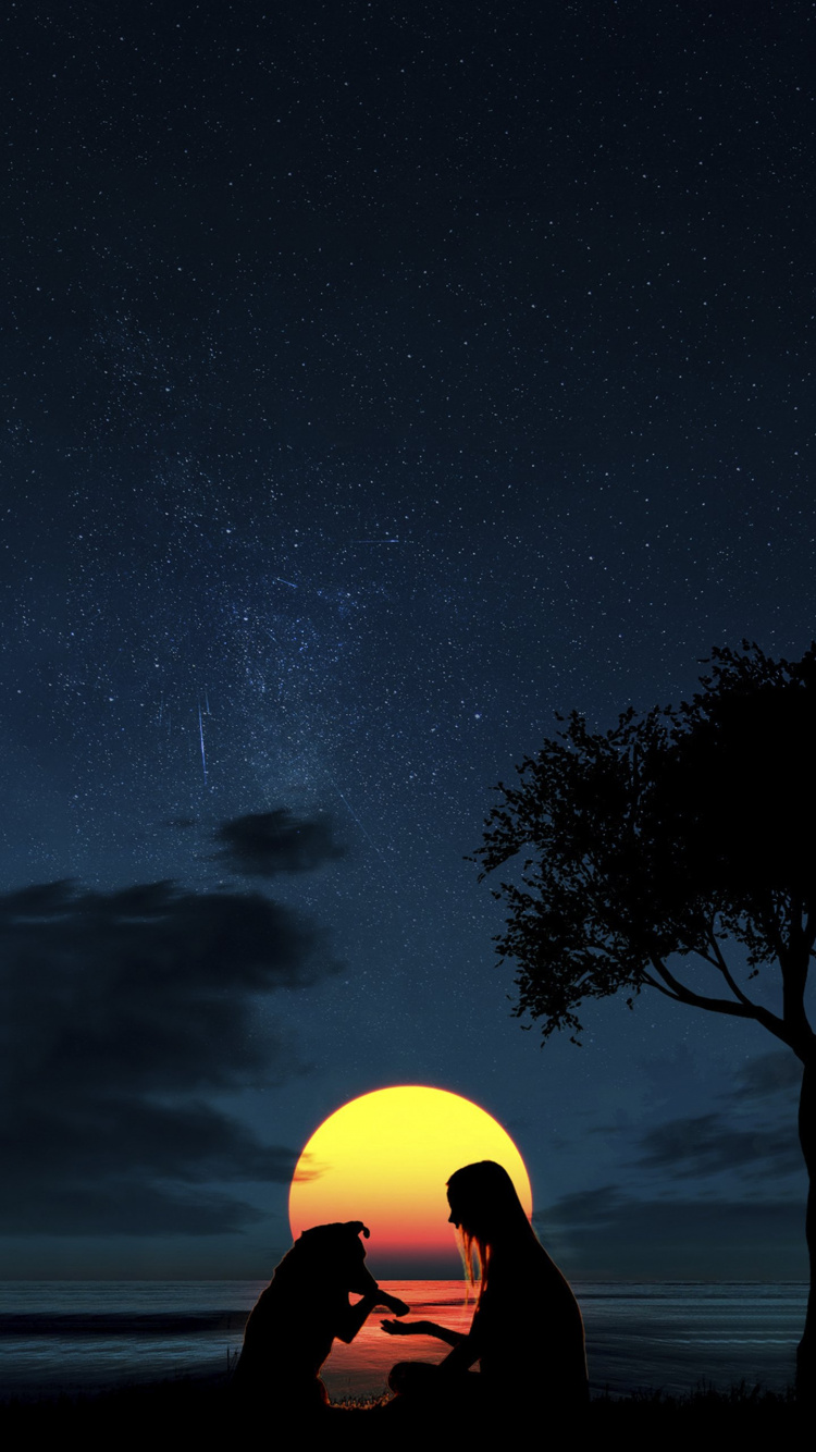 Luna Silueta Niña y Perro, Gran Danés, Ambiente, Luz, Naturaleza. Wallpaper in 750x1334 Resolution