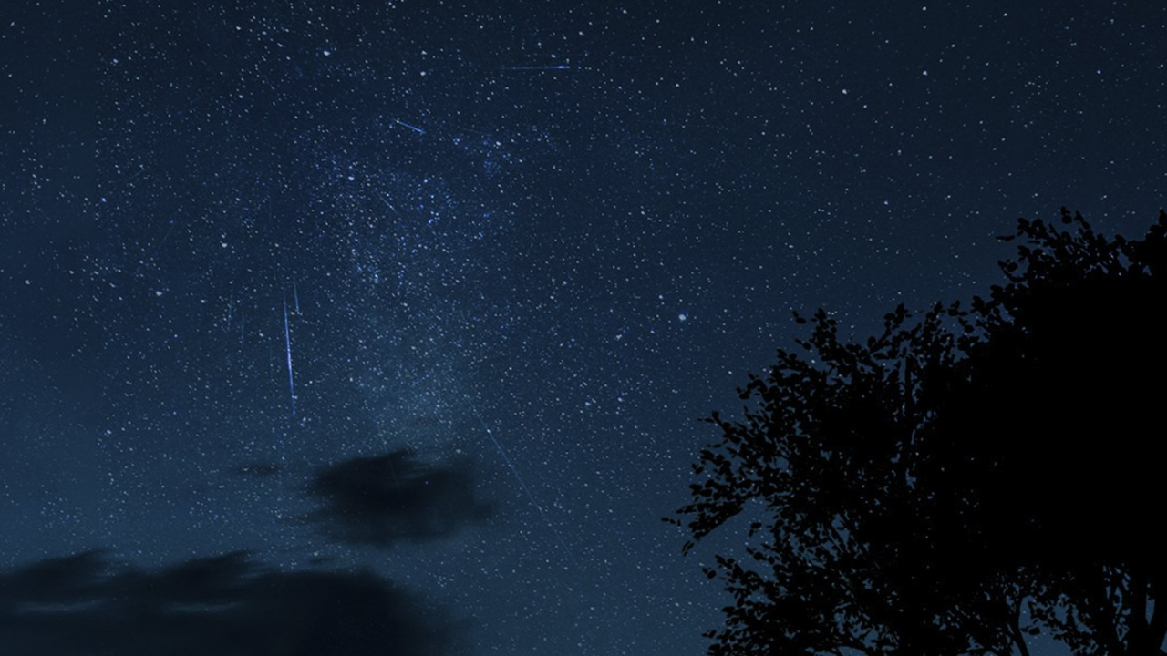 Moon Silhouette Girl and Dog, Great Dane, Atmosphere, Light, Nature. Wallpaper in 1280x720 Resolution