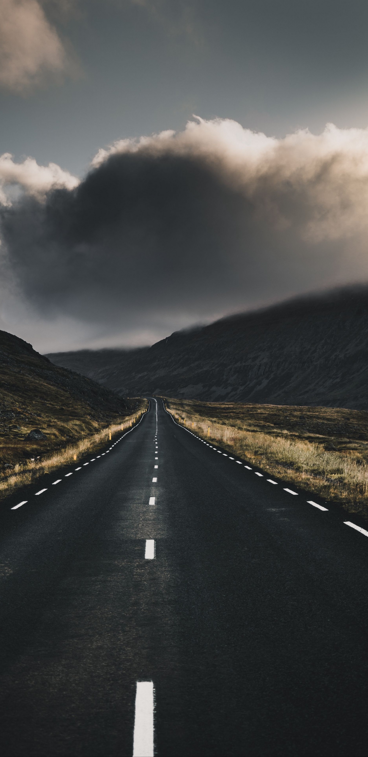 Route, Nature, Atmosphère, L'écorégion, Surface de la Route. Wallpaper in 1440x2960 Resolution