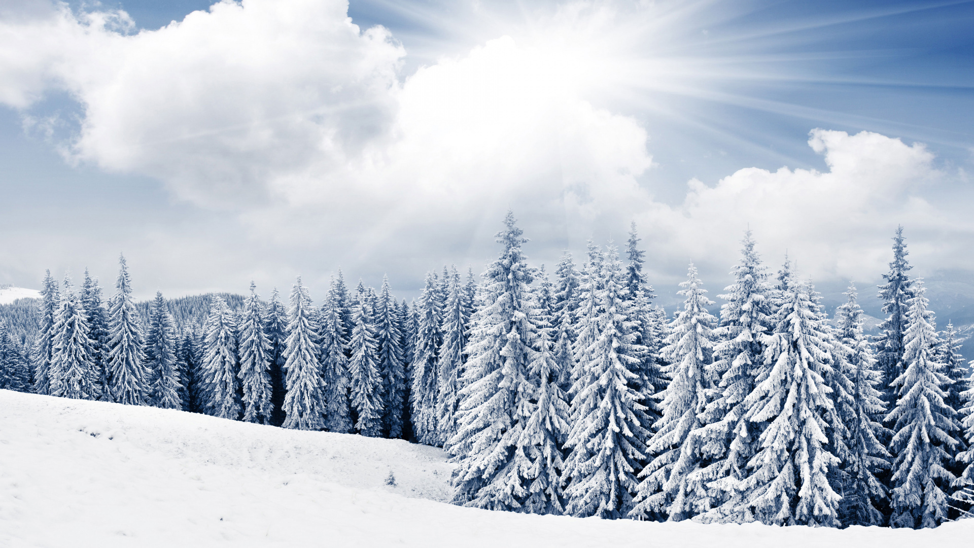 Schneebedeckte Kiefern Unter Blauem Himmel Und Weißen Wolken Tagsüber. Wallpaper in 1920x1080 Resolution