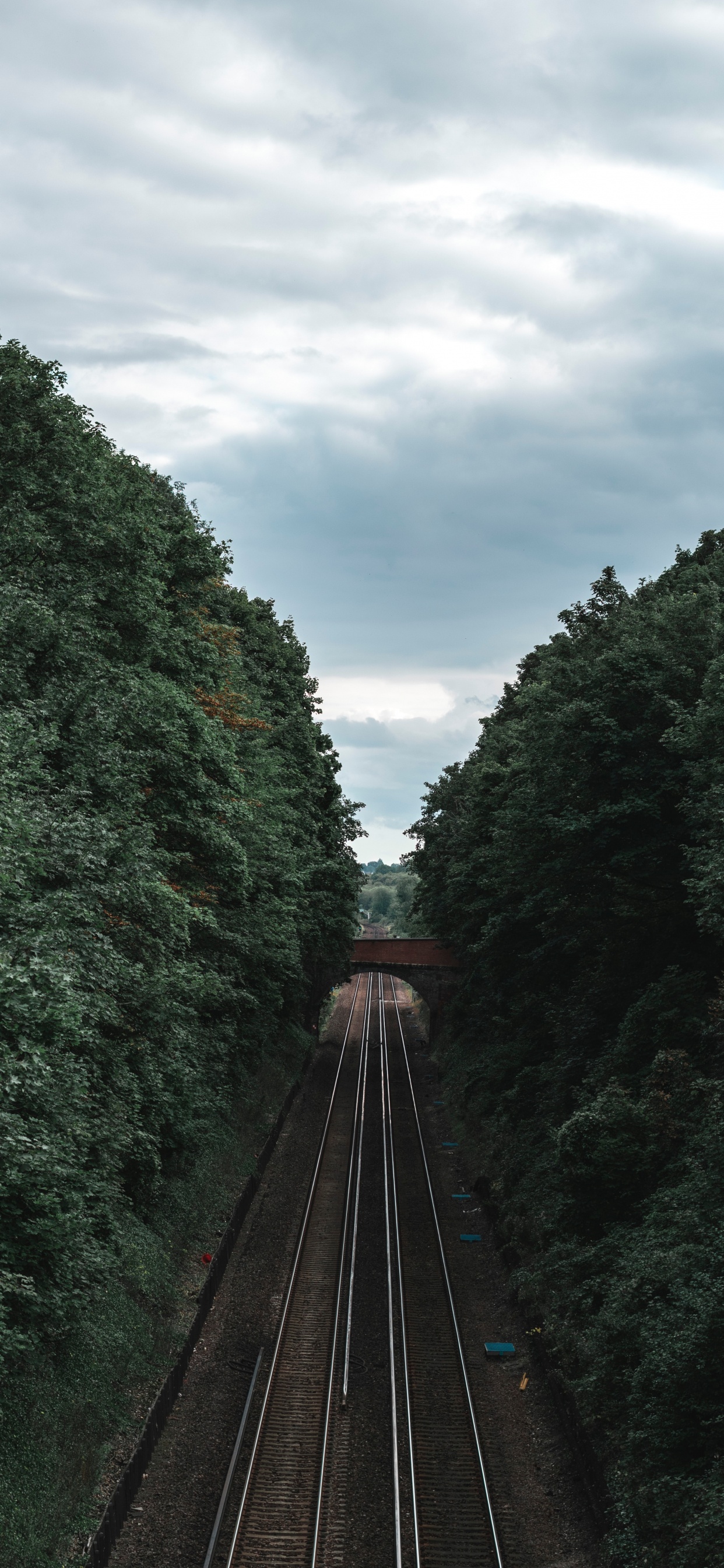 le Transport Ferroviaire, Chemin de Fer, Piste, Transport, Artère. Wallpaper in 1242x2688 Resolution