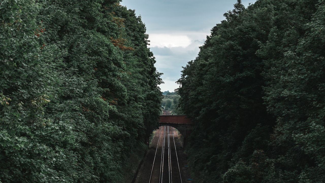 Schienenverkehr, Spur, Transport, Baum, Durchgangsstraße. Wallpaper in 1280x720 Resolution